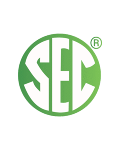 shree swami samarth (2)